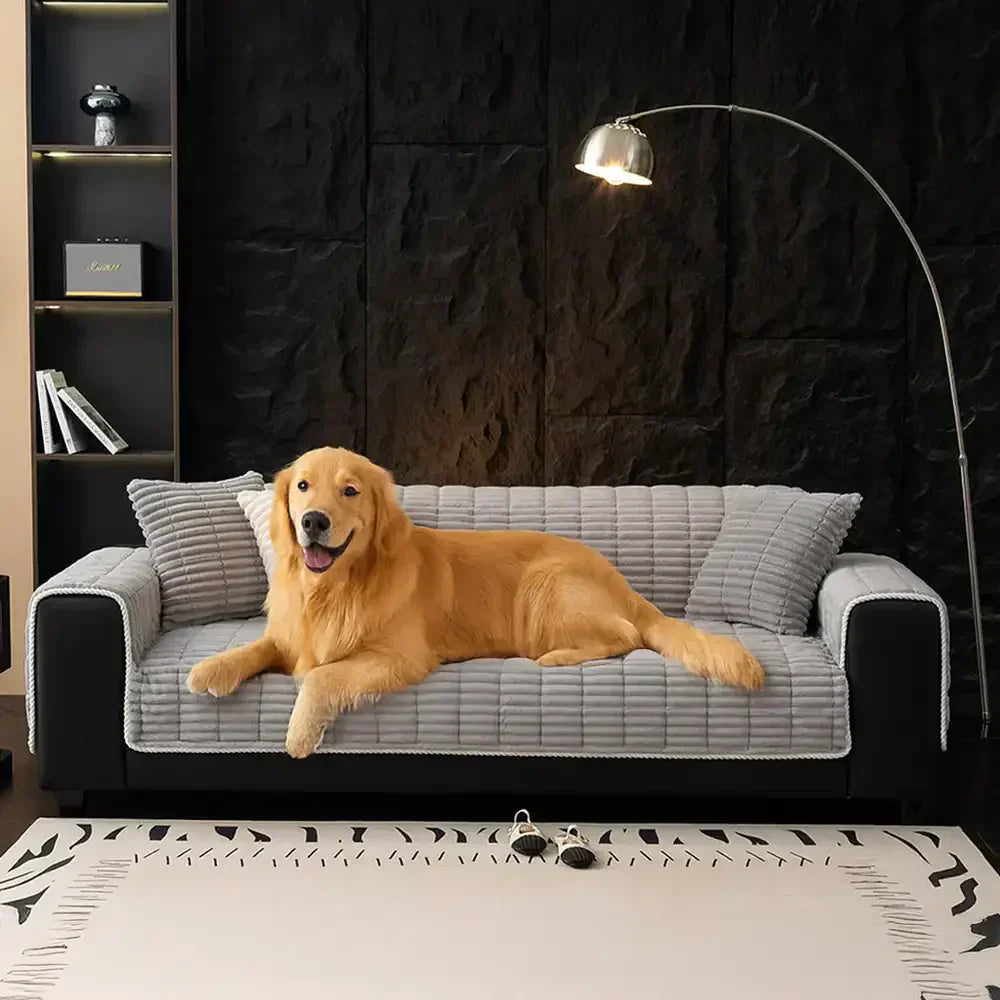 Pet-Friendly Couch Covers: Stylish Protection You Never Knew You Needed