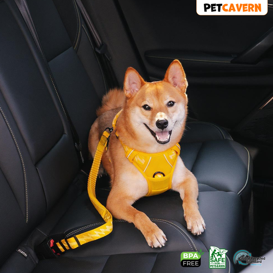 Pet Cavern™ Adjustable Dog Car Seat Belt Set