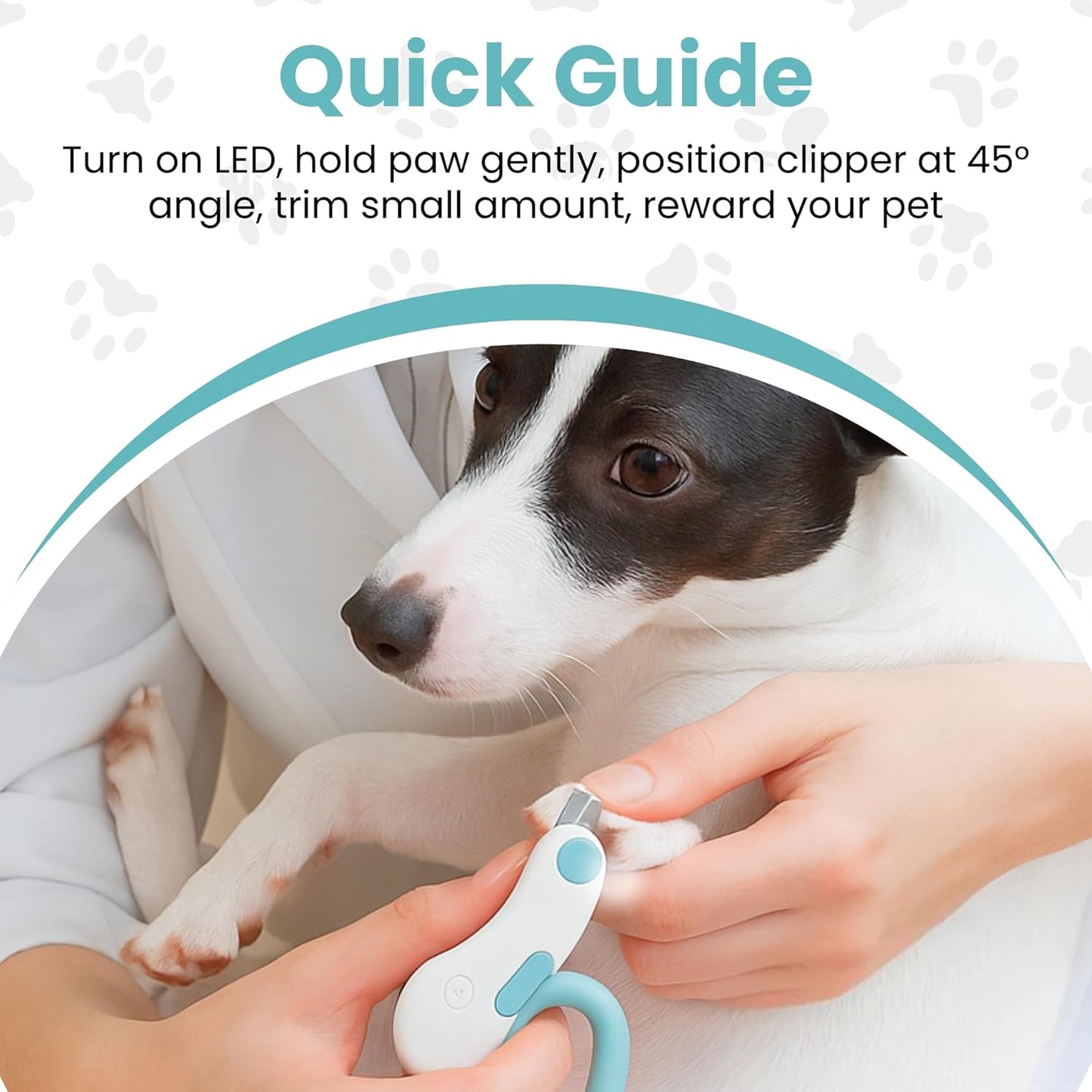 Pet Cavern™ Cat Nail Clipper with LED Light