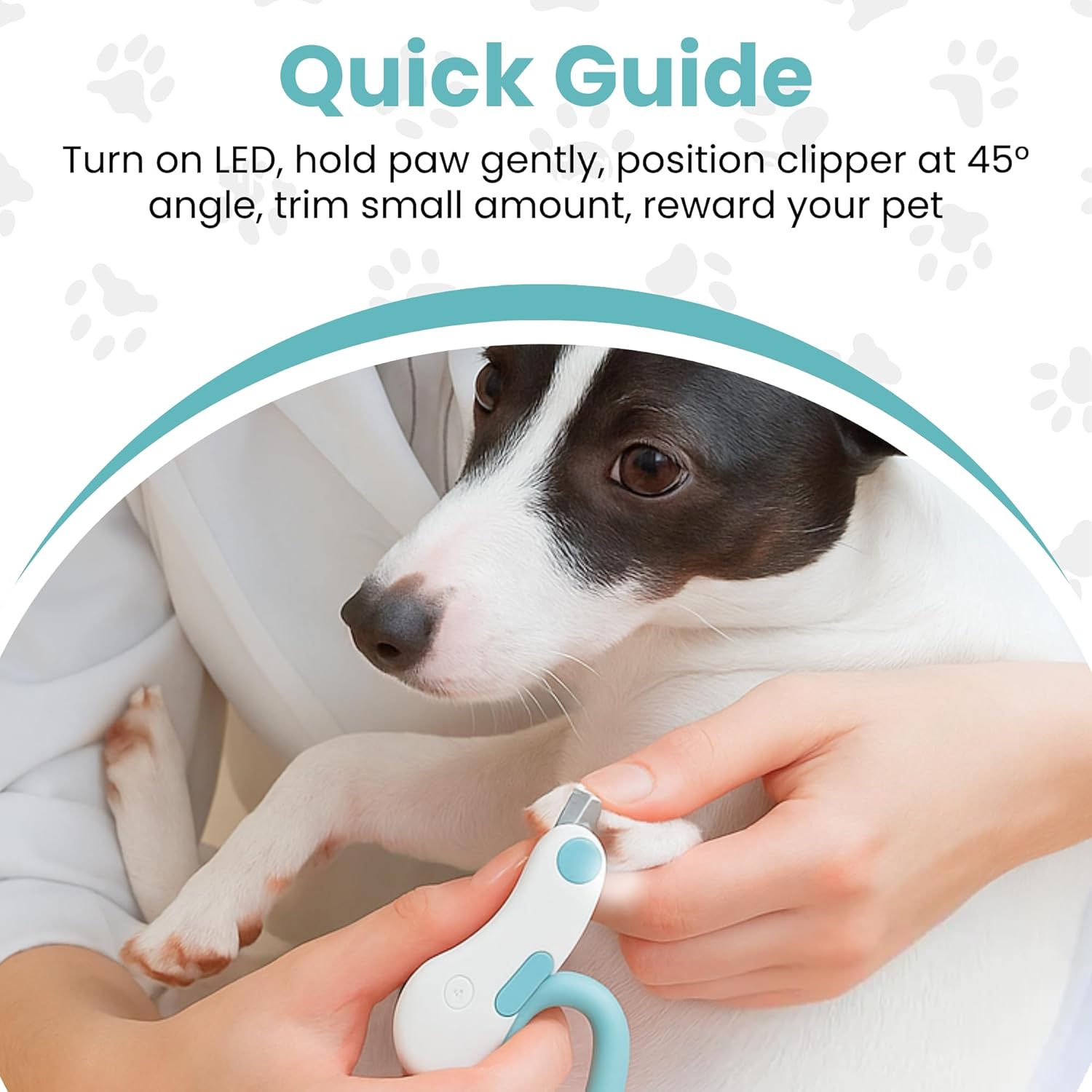 Pet Cavern™ Cat Nail Clipper with LED Light, Trim Safely and See Clearly Every Time