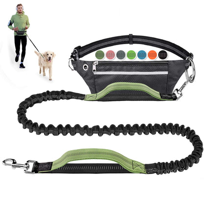 Pet Cavern™ Hands Free Absorbing Reflective Nylon Dog Leash