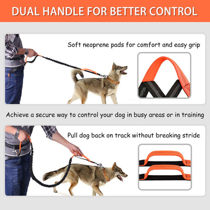 Pet Cavern™ Hands Free Absorbing Reflective Nylon Dog Leash