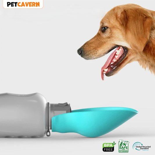 Pet Cavern™ Everyday Hydrate 800ml Portable Pet Water Bottle