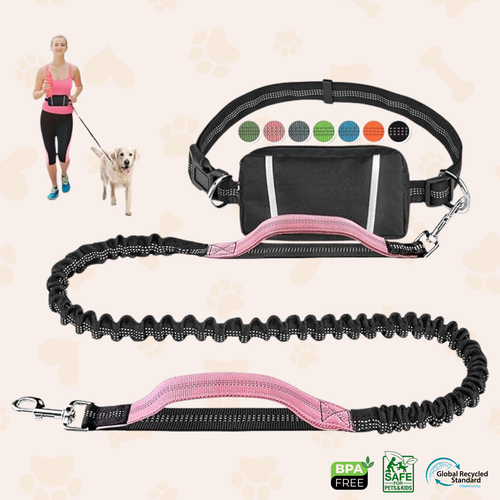 Pet Cavern™ Hands Free Absorbing Reflective Nylon Dog Leash