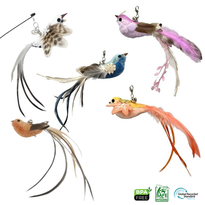 Pet Cavern™ Simulation 5 Birds Interactive