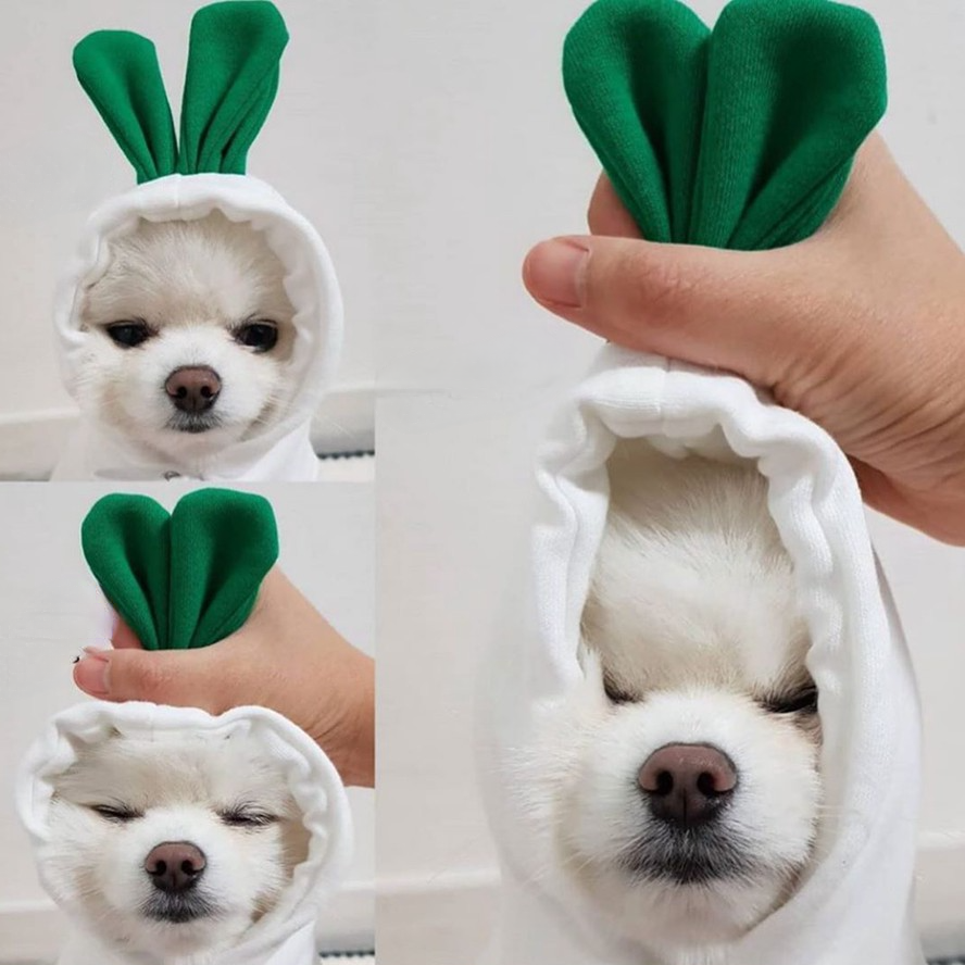 Pet Cavern™ Winter Cute Fruit Dog Clothing Small Pet Apparel