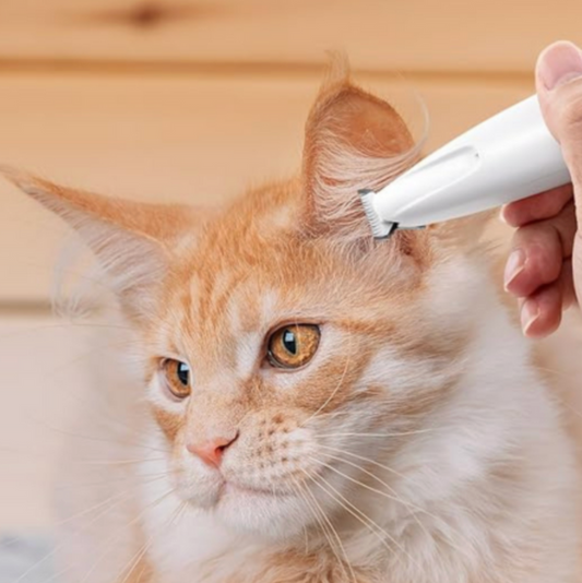 Pet Cavern™ Dog Paw Trimmer with LED Light