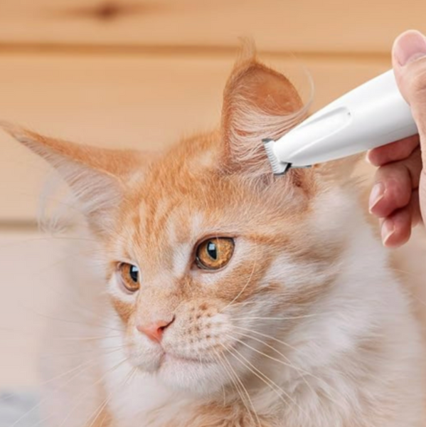 Pet Cavern™ Dog Paw Trimmer with LED Light