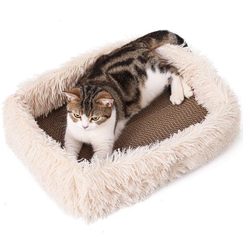 2-in-1 Scratching Cat Bed