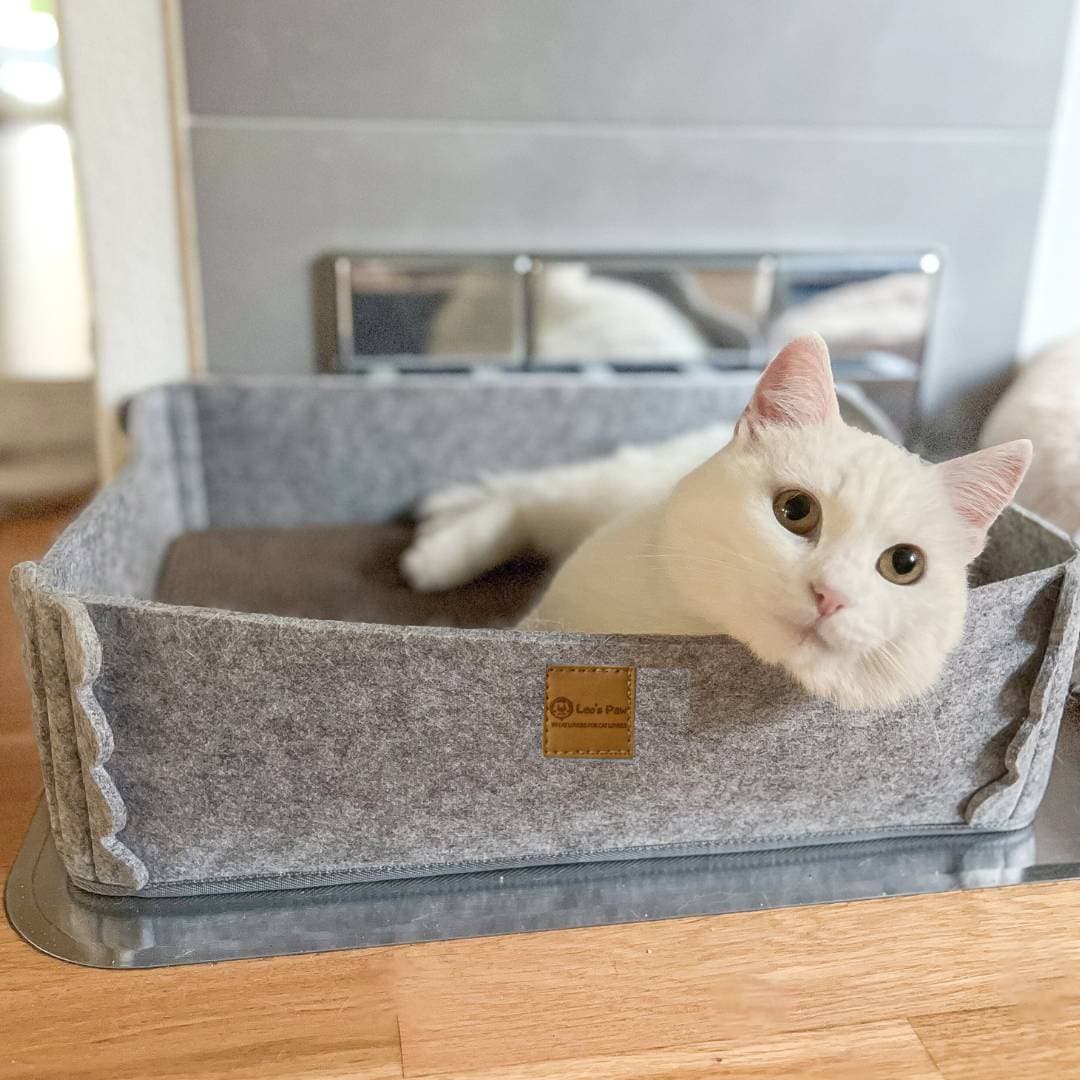 2-in-1 Scratching Cat Bed