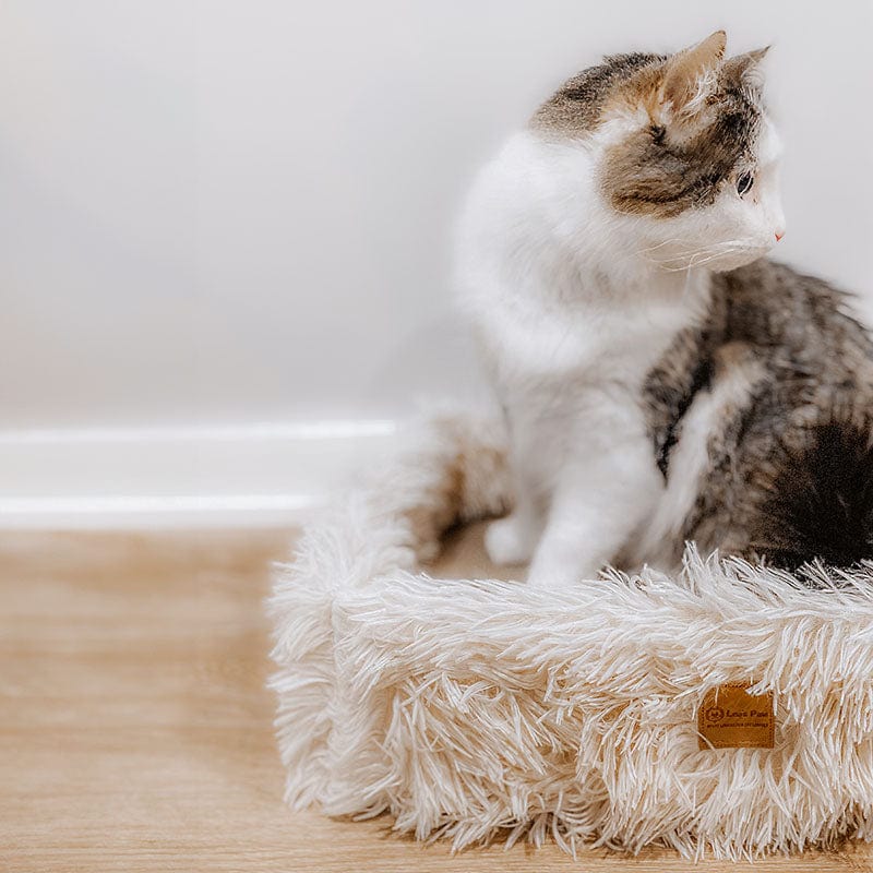 2-in-1 Scratching Cat Bed