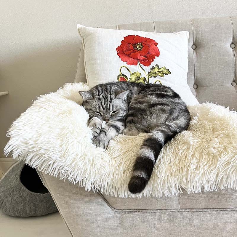 2-in-1 Soothing Cat Bed