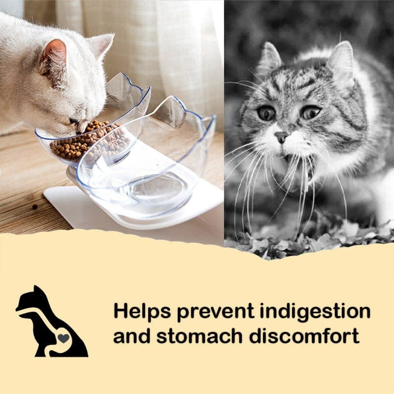 Anti-Vomiting Orthopedic Cat Bowl