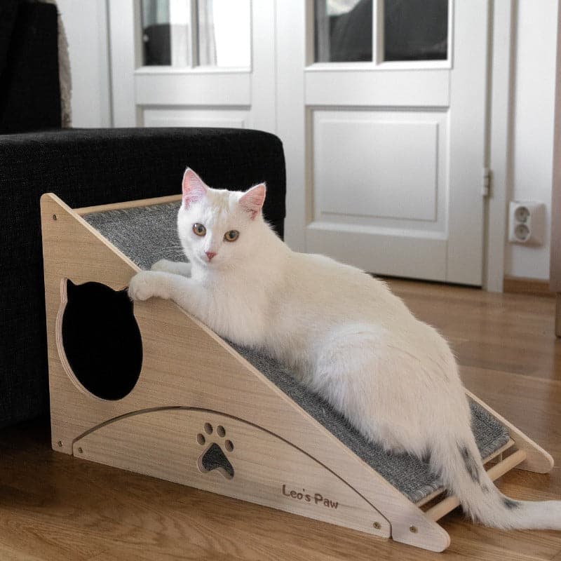 Cat Scratch and Play Ramp