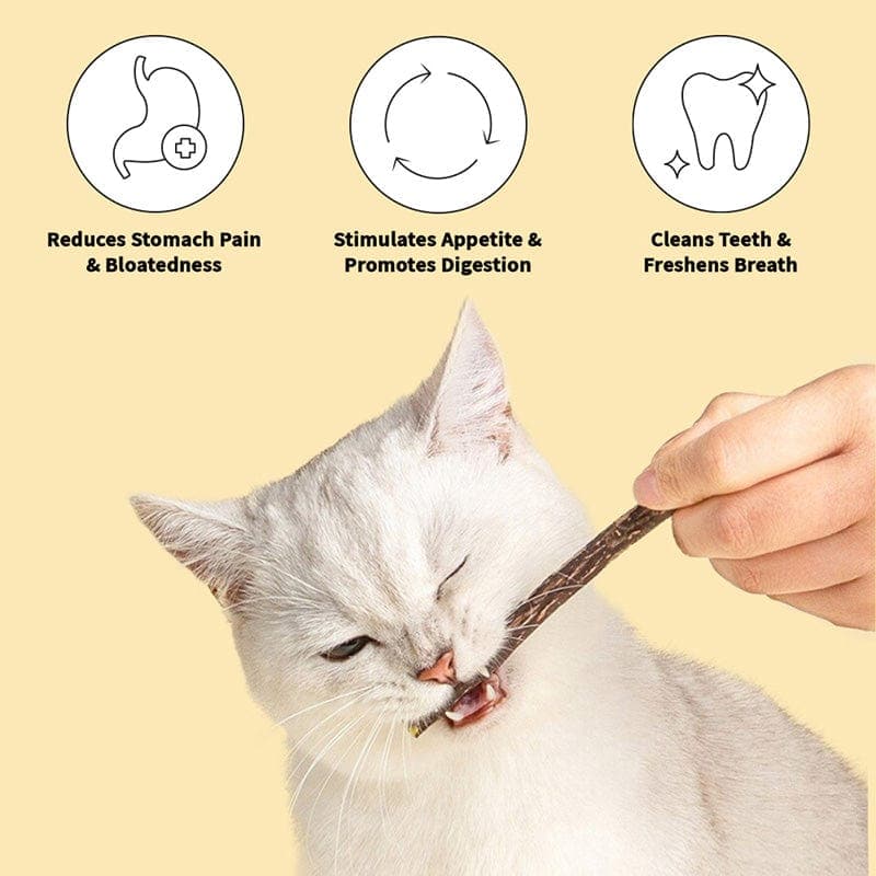 Catnip Chew Toy Sticks