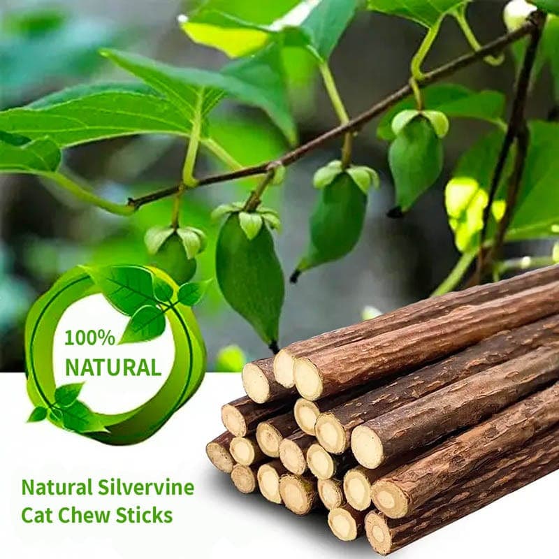 Catnip Chew Toy Sticks