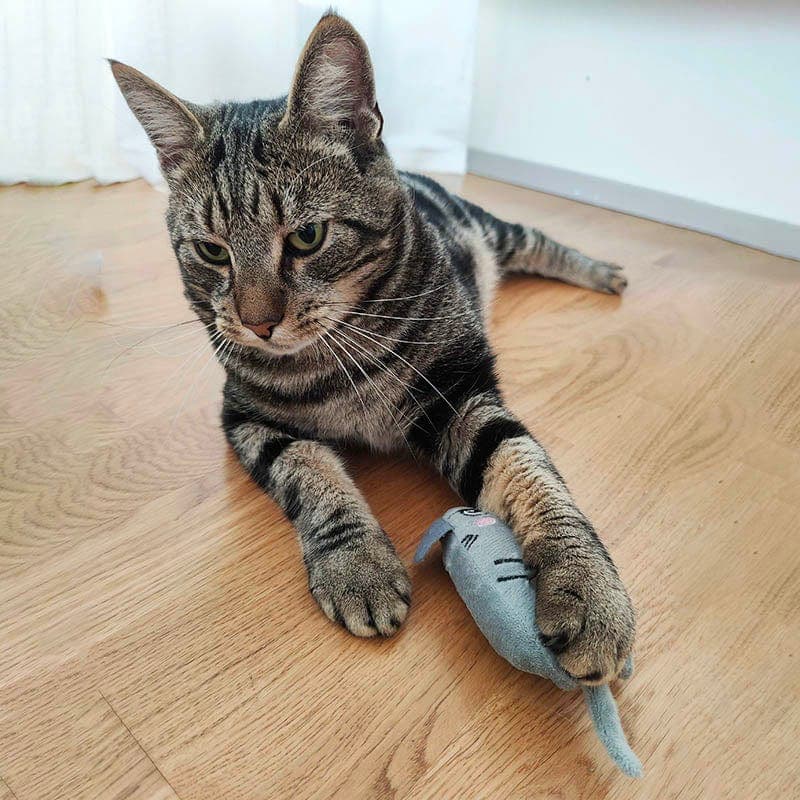 Meow Mates™ 6-Piece Catnip Companion & Play Pack