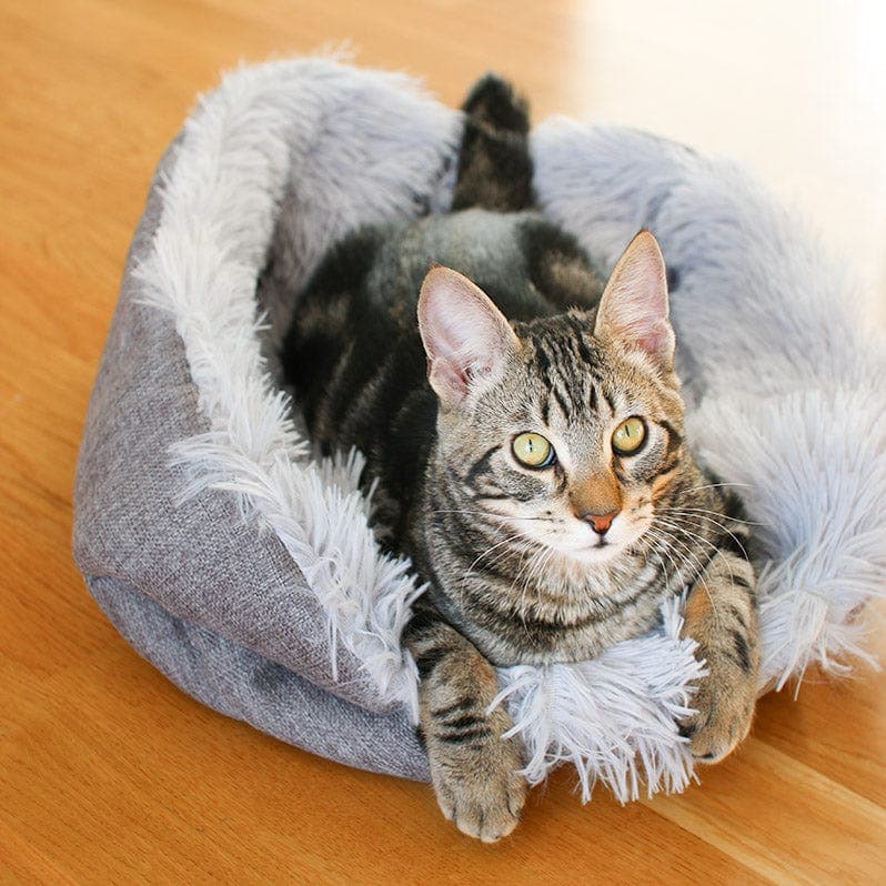 2-in-1 Soothing Cat Bed