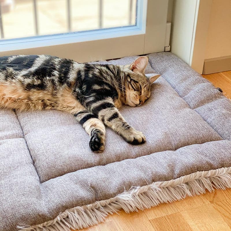 2-in-1 Soothing Cat Bed