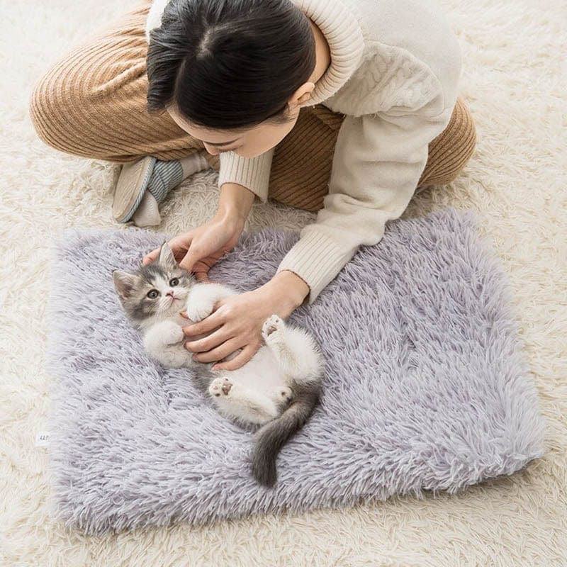 2-in-1 Soothing Cat Bed