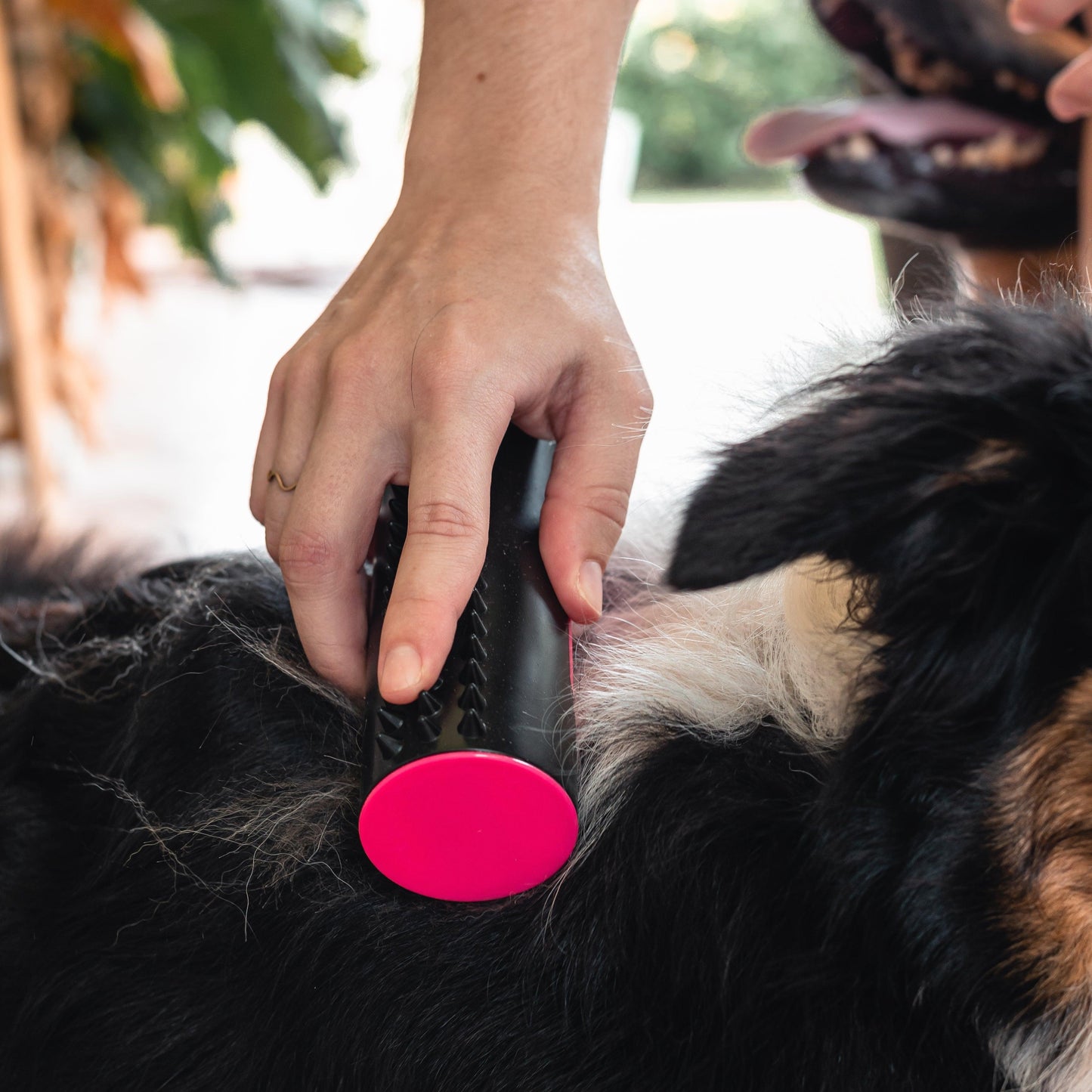 Wendy Pet Shop ™ Portable Brush - Wendy Pet Shop 