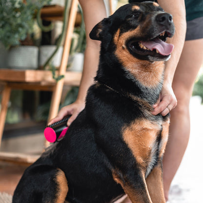 Wendy Pet Shop ™ Portable Brush - Wendy Pet Shop 