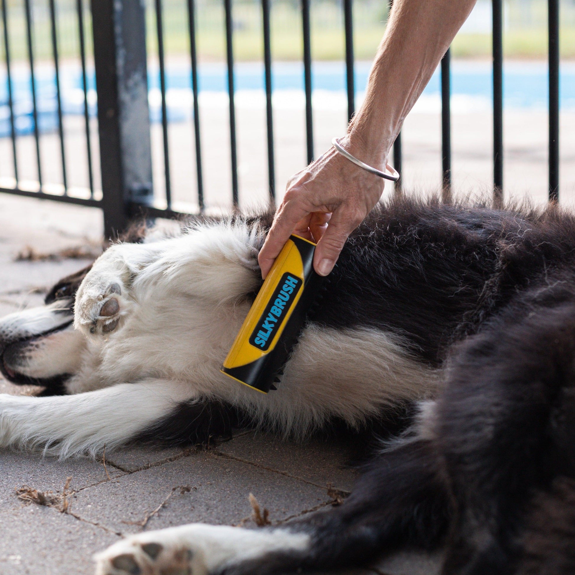 Wendy Pet Shop ™ Portable Brush - Wendy Pet Shop 