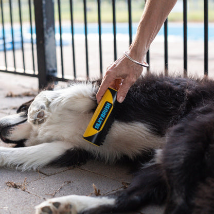 Wendy Pet Shop ™ Portable Brush - Wendy Pet Shop 