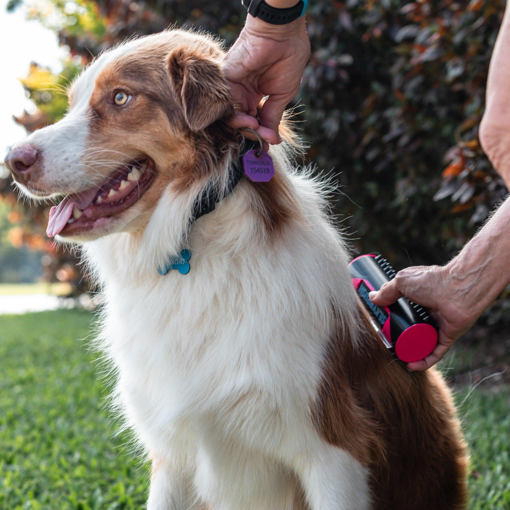 Wendy Pet Shop ™ Portable Brush - Wendy Pet Shop 