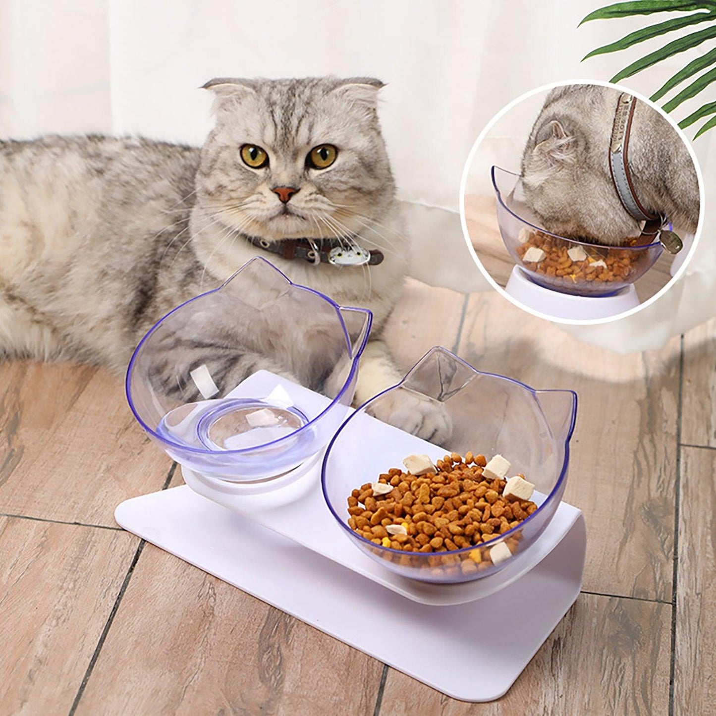 Wendy Pet Shop™ Orthopedic Anti-Vomiting Cat Feeder - Wendy Pet Shop 