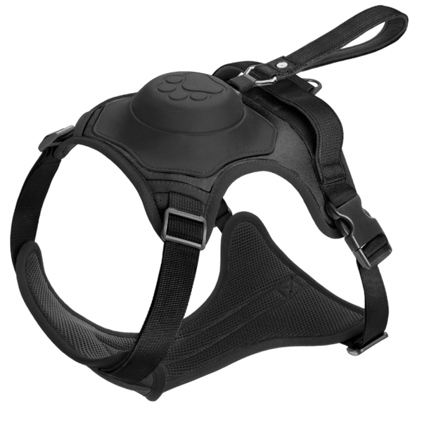 Wendy Pet Shop™ Dog Harness and Retractable Leash Set All-in-One - Wendy Pet Shop 