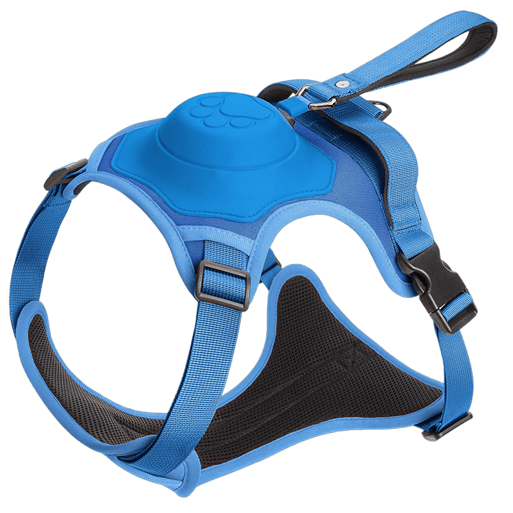 Wendy Pet Shop™ Dog Harness and Retractable Leash Set All-in-One - Wendy Pet Shop 