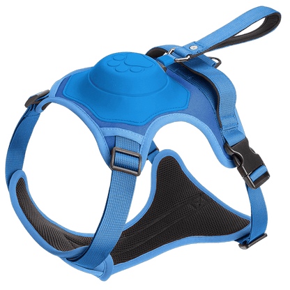 Wendy Pet Shop™ Dog Harness and Retractable Leash Set All-in-One - Wendy Pet Shop 