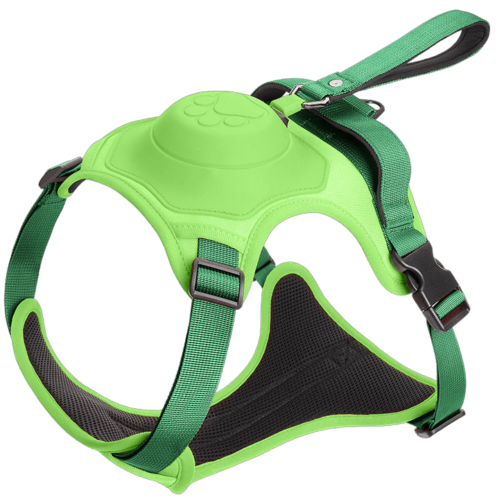 Wendy Pet Shop™ Dog Harness and Retractable Leash Set All-in-One - Wendy Pet Shop 