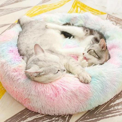 Marshmallow Cat Bed [HOT Selling!] - Wendy Pet Shop 