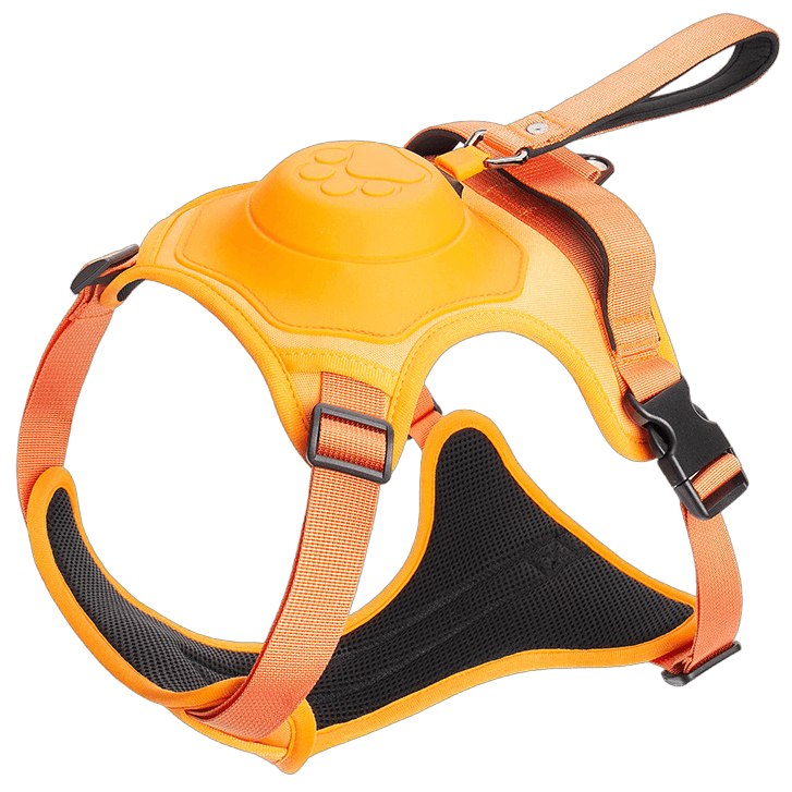 Wendy Pet Shop™ Dog Harness and Retractable Leash Set All-in-One - Wendy Pet Shop 