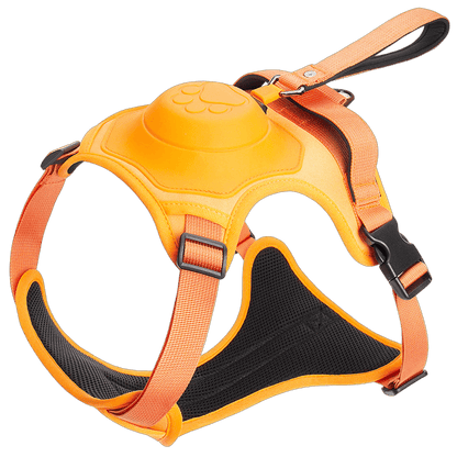 Wendy Pet Shop™ Dog Harness and Retractable Leash Set All-in-One - Wendy Pet Shop 